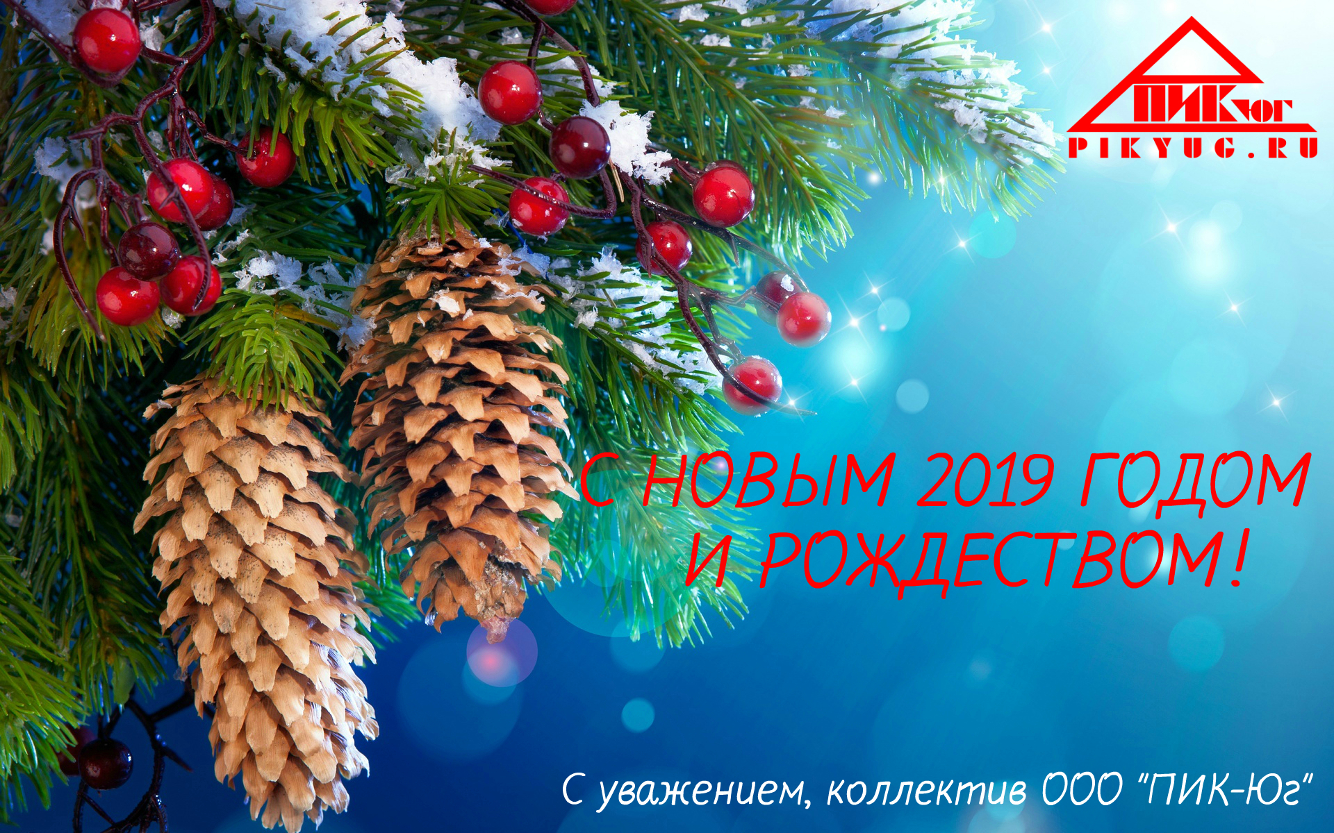 noviygod2019